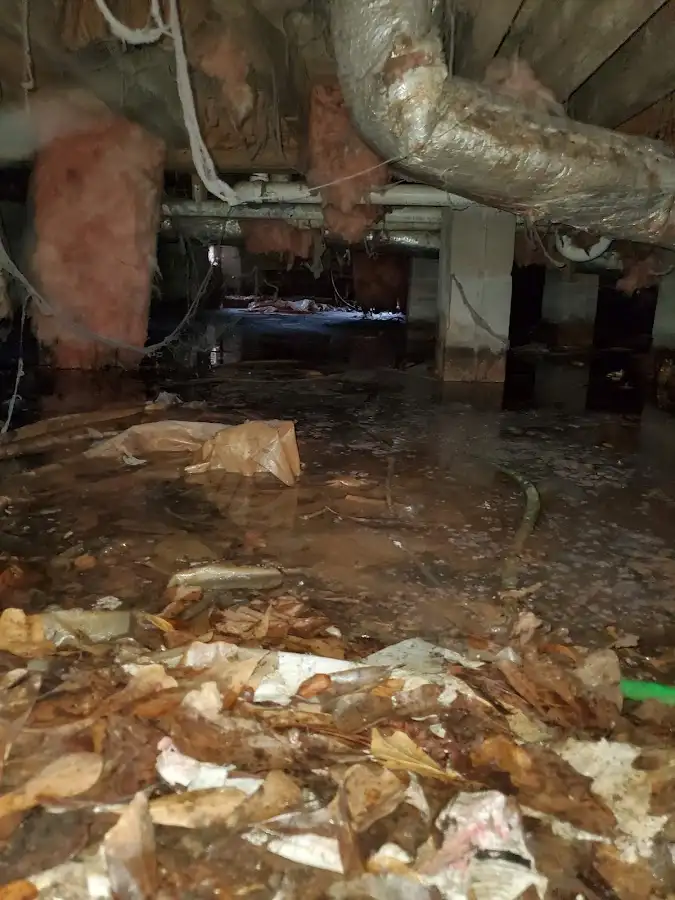 Crawl space flood assessment for Commercial Water Damage Restoration in Gonzales