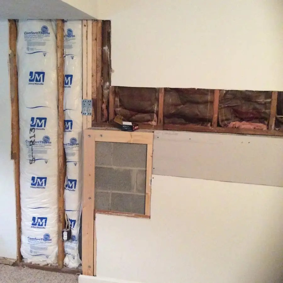 Wall insulation replacement during Odor Removal & Deodorization in Gonzales